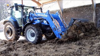 MUCKING OUT THE COW SHEDS WITH A BRILLIANT BLUE YARD TRACTOR [upl. by Ellednahs]