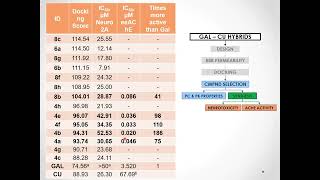 Beyond in silico simulations a case study on acetylcholinesterase inhibitors [upl. by Nosloc356]