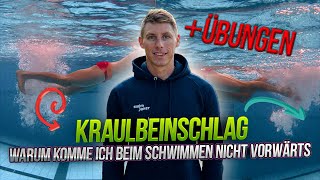 Korrekte Kraulbeinschlag beim Schwimmen [upl. by Nahtahoj]