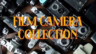 Film Camera Collection [upl. by Lussi]