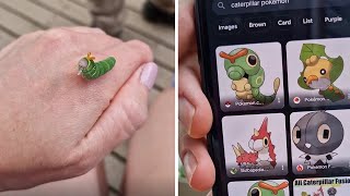 This stunning swallowtail caterpillar looks like reallife Pokémon shorts [upl. by Trimmer]