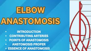 ELBOW ANASTOMOSIS MADE VERY EASY [upl. by Chadburn]