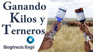 ¿ Cómo mejorar la producción del ganado  Biogénesis Bagó [upl. by Virgilio203]