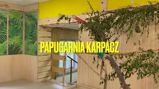 Papugarnia Karpacz [upl. by Latrena]