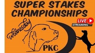 2024 PKC Fall Super Stakes Wednesday [upl. by Jammal]