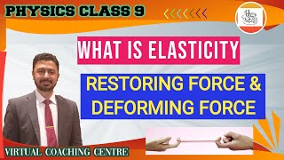 WHAT IS ELASTICITY  PHYSICS CLASS 9 [upl. by Ellita]