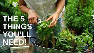 Planting Herbs in One Container Rosemary Sage Basil Oregano Thyme Dill amp Parsley [upl. by Loresz358]