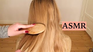 ASMR 1 HOUR HAIR BRUSHING COMPILATION NO TALKING [upl. by Bael805]