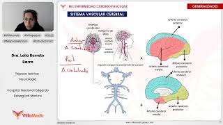 ENFERMEDAD CEREBROVASCULAR PARTE 1  NEUROLOGÍA  VILLAMEDIC [upl. by Ytram]