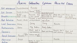 Plant hormones  auxins gibberellins cytokinins ethylene abscisic acid [upl. by Tray]