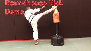 Roundhouse Kick Demo [upl. by Keith]