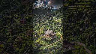 🌿 Transform Your Nature Pics 🔥 Lightroom Editing nature colorphotography lightroomtutorial edit [upl. by Tews148]