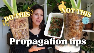 Propagation tips for maximum success [upl. by Forster]