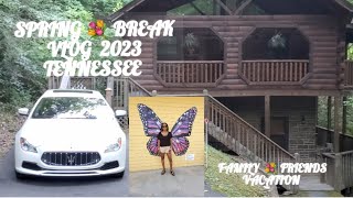 Spring Break VLOG 2023 Tennessee Family💐Friends Vacation [upl. by Anitnemelc]