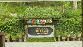 Oxygen Resorts  Wild Corridor  Thekkady Kerela [upl. by Llenrup]