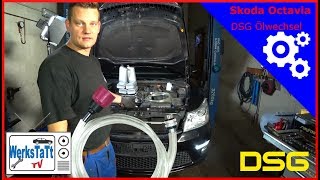 ►Skoda Octavia VWAudiSkodaSeat◄ DSG Getriebeölwechsel DSG Gearbox Oilchange ◢WERKSTATTTV◣ [upl. by Sibyl764]