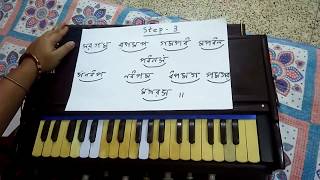 Harmonium Lesson for Beginners Step by StepPart1 e Music [upl. by Eedak]