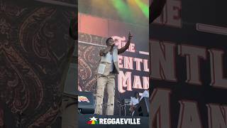 Romain Virgo  Summerjam 2024 🔥 Cologne Germany reggaeville [upl. by Ruon176]