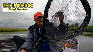 Quick look  Westin W3 CR Adjustable landing net lurefishing westinfishing lurefishinguk [upl. by Vijnas355]