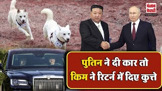 Putin ने गिफ्ट की कीमती कार Kim Jong ने रिटर्न में दिए ये कुत्ते  Russia  North Korea [upl. by Annaik]