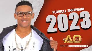 ALEX OURO 2023 PITBULL ENRAIVADO REP SÃO JOÃO MÚSICAS NOVAS 2023 [upl. by Stalder793]