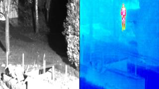 Mobotix Thermal Camera  Shadow [upl. by Yssirk]