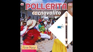 POLLERITA carnavalito flauta [upl. by Sonitnatsnok]