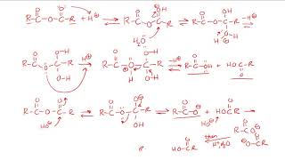 Carboxylic Acid Derivatives Reactions Part 1 [upl. by Emelia607]