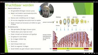 VWO 3 Thema 4 Voortplanting en Seksualiteit Basisstof 3 Vruchtbaar worden Deel 2 [upl. by Thgiwed650]