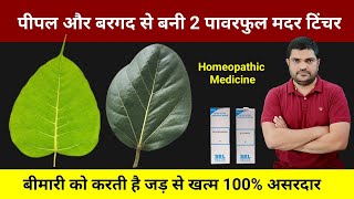 Homeopathic mother tincture made from peepal and banyan leaves [upl. by Essilrahc707]