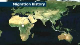 Aboriginal DNA provides human migration clues [upl. by Lora]