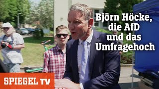 Björn Höcke die AfD und das Umfragehoch  SPIEGEL TV [upl. by Anav]