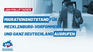 JanPhillip Tadsen Migrationsnotstand für MecklenburgVorpommern und ganz Deutschland ausrufen [upl. by Hayalat18]