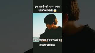 बेचारी Dolphin 🐬🥺  Movie Explains In Hindi shorts dolphin movieexplainedinhindi [upl. by Yesnyl]