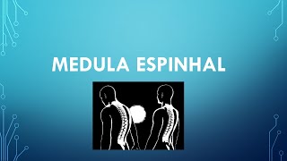 MEDULA ESPINHAL [upl. by Etnauj]