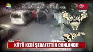 Kötü kedi Şerafettin canlandı [upl. by Kraul]