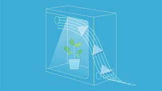 Introduction to TEMPERATURE AND HUMIDITY  Grow Guide by AC Infinity [upl. by Flip]