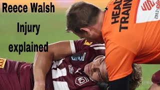 Reece walsh injury EXPLAINED [upl. by Ettereve]