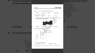 Tallentex Class 5 sample paper [upl. by Hanoj]