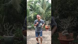 Tạm biệt búp bê thân yêu tạm biệt gấu misa nhé shorts funny [upl. by Drehcir]