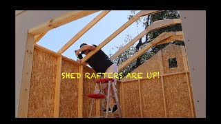 YARDLINE STIRLING SHED RAFTERS Pt 7 of Build [upl. by Ancilin]