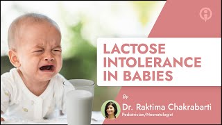 Know Everything About Lactose Intolerance In Babies  ImmunifyMe [upl. by Anippesuig508]