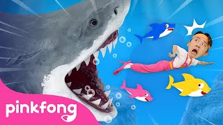 😱 Run Away from the Sharks  Animal Song  Hois Playground  Pinkfong Baby Shark Kids Song [upl. by Carney]