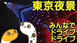 東京夜景 みんなでドライブドライブ【ちんあなご】東京タワー 秋葉原 東京駅 銀座 スカイツリー 歌舞伎町 吉原 大久保公園 渋谷 新宿 六本木 [upl. by Grof]