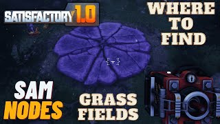 Where To Find SAM Nodes in the Grass Fields  Satisfactory 10 [upl. by Ardnekan464]