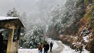 Aisa snowfall pehli bar dekhaNainital in JANUARYvirgonik vlog 2020 [upl. by Ettenoj410]