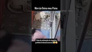 No meu peixe n Márcia 🤣😂😂😂 funnyvideo memes videoviral brasilmemes comedia videoshorts humor [upl. by Melonie]