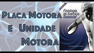 PLACA Motora e UNIDADE Motora [upl. by Nairot]