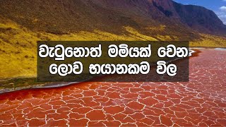 මේ ලෝකයේ තියන භයානකම ස්වභාවික ස්ථාන ඔයා කවදාවත් දැකලා නෑ Abirahas Gaweshanaya [upl. by Pollie]