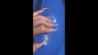 Long Natural Nails on Holiday  Part 1 ASMR  Pool Inflatables  Water and Beach Sounds  LoFi [upl. by Eerrahs]